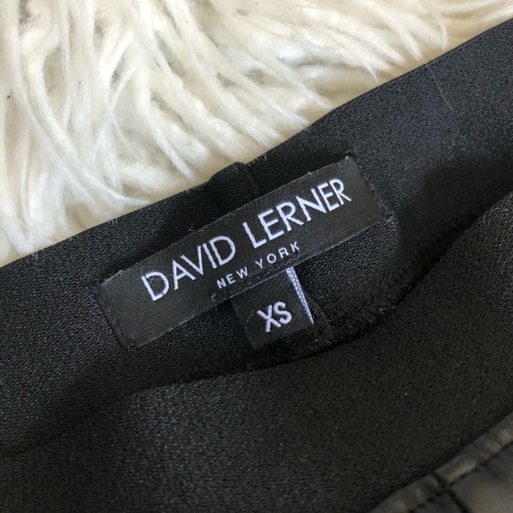 David Lerner Pull On Vegan Leather Leggings EUC - Picture 6 of 7